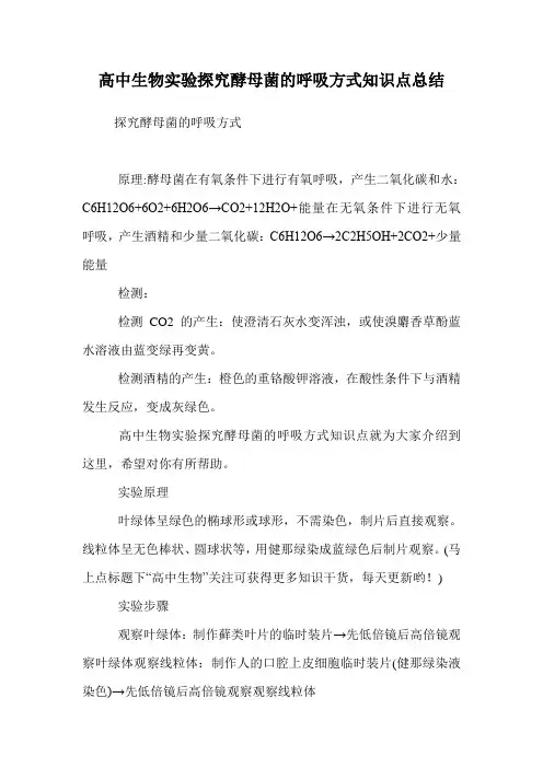 高中生物实验探究酵母菌的呼吸方式知识点总结