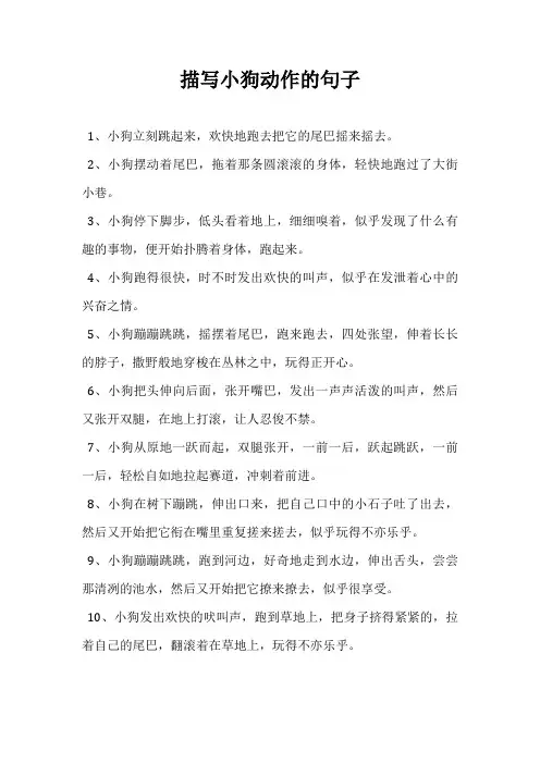 描写小狗动作的句子