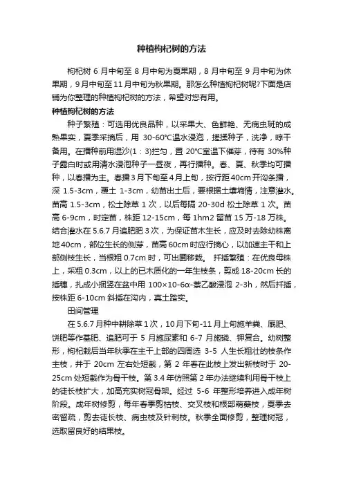 种植枸杞树的方法