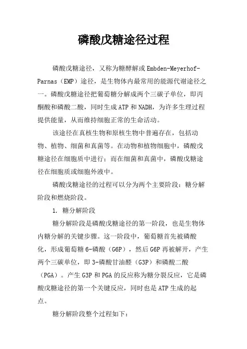 磷酸戊糖途径过程
