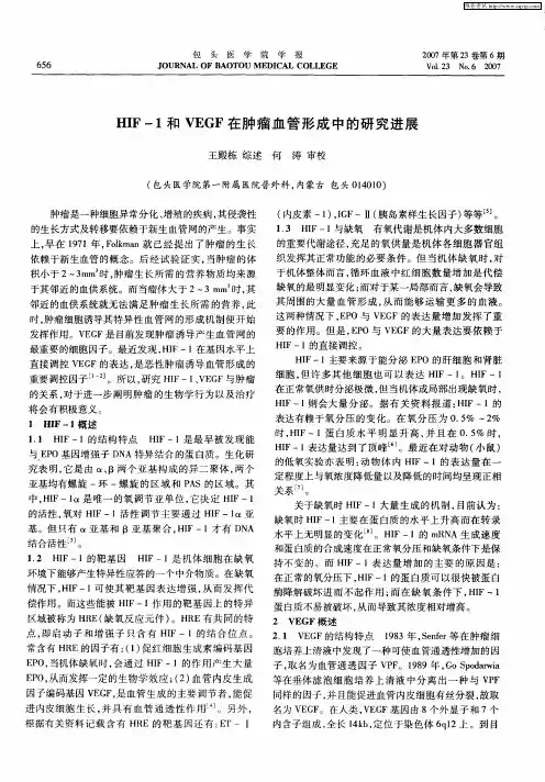 HIF-1和VEGF在肿瘤血管形成中的研究进展