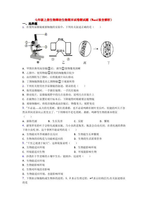 七年级上册生物潍坊生物期末试卷测试题(Word版含解析)