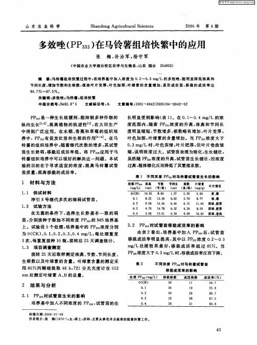 多效唑(PP333)在马铃薯组培快繁中的应用