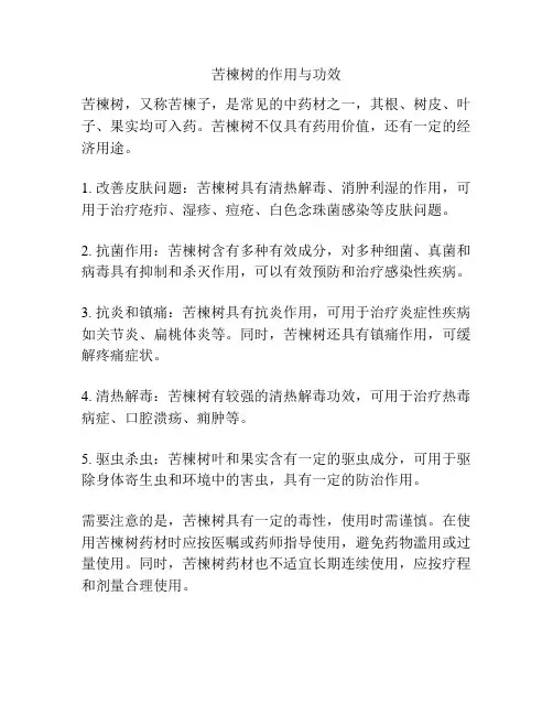 苦楝树的作用与功效