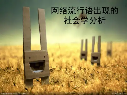网络流行语的社会学分析