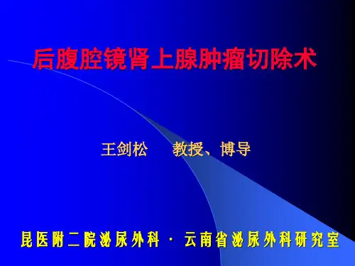 后腹腔镜肾上腺肿瘤切除术