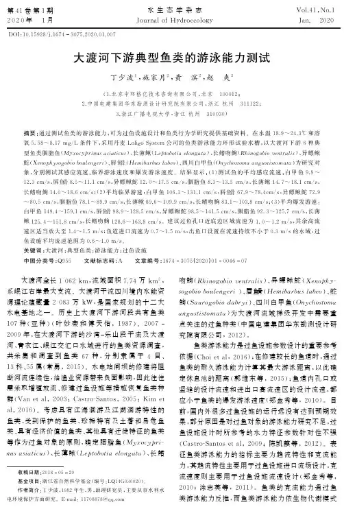 大渡河下游典型鱼类的游泳能力测试