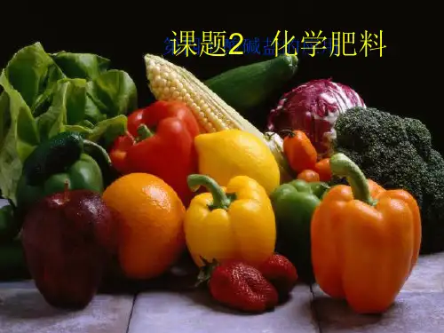人教版九年级化学下册11.2化学肥料课件(共74页)