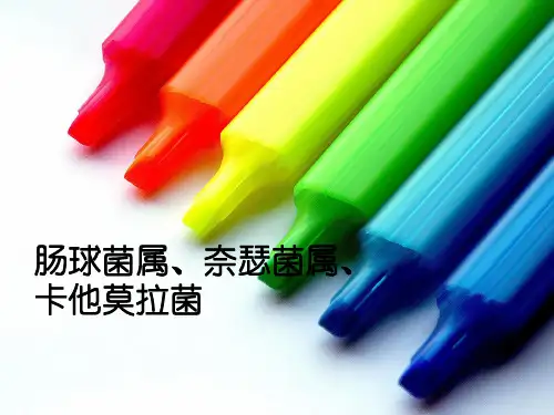 肠球菌 奈瑟菌 卡他莫拉菌参考