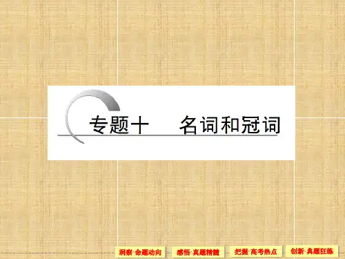 高考英语二轮复习专题名词和冠词课件