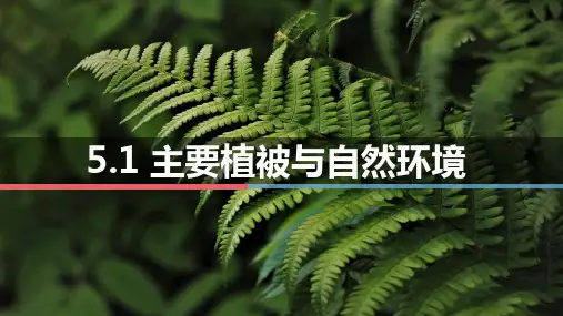 高中地理湘教版(2019)必修一5.1主要植被与自然环境(共14张ppt)