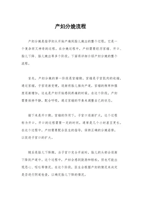 产妇分娩流程