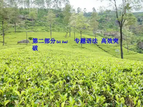 中考英语 第二部分 专题语法 高效突破 专项7 形容词课件_1
