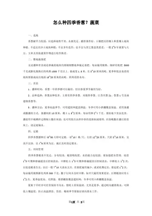 怎么种四季香葱？蔬菜