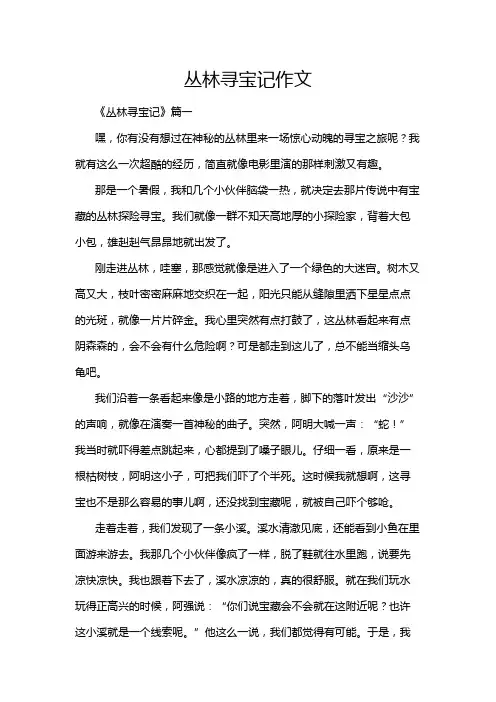 丛林寻宝记作文