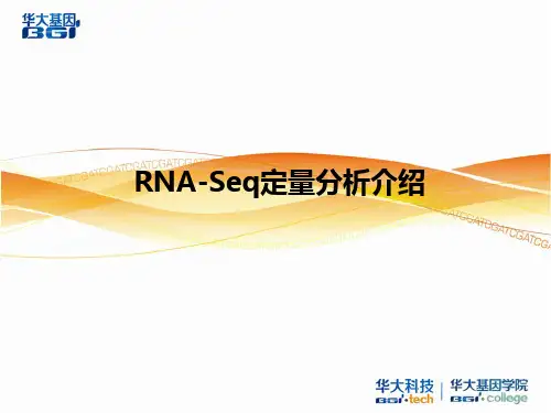 RNA-Seq定量分析介绍