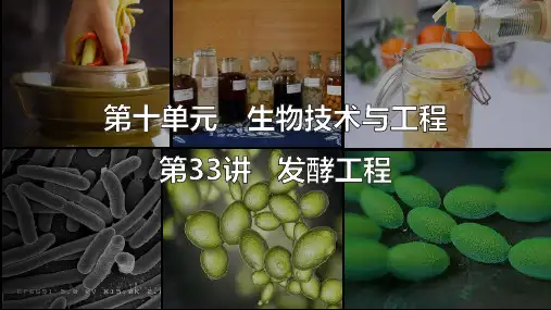高三生物一轮复习课件第十单元第33讲考点三传统发酵技术应用