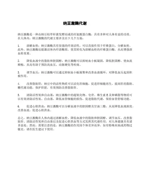 纳豆激酶代谢