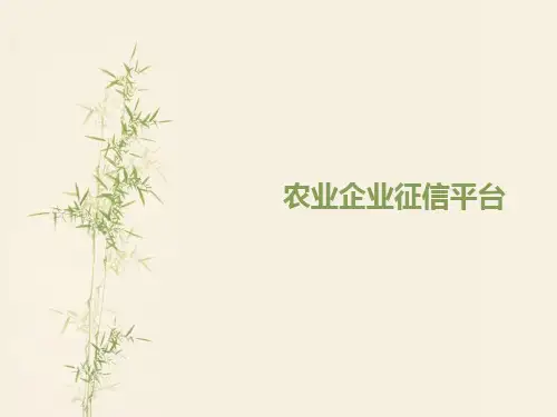 企业征信指标体系平台建设