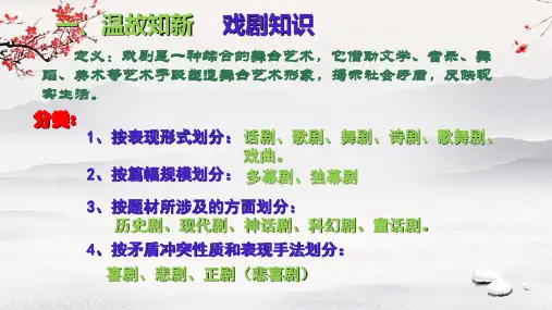 枣儿课件(23张PPT)