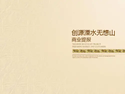 南京溧水无想山项目商业提报2