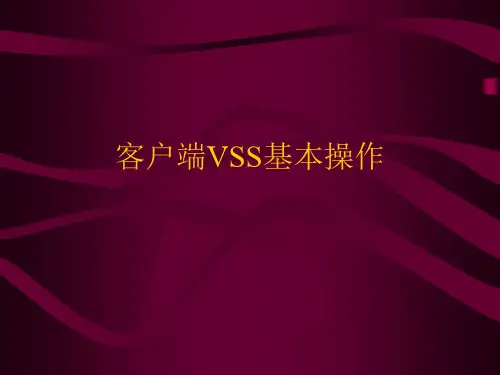 VSS基本操作