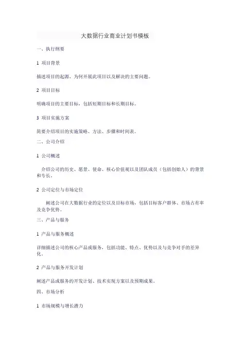 大数据行业商业计划书模板