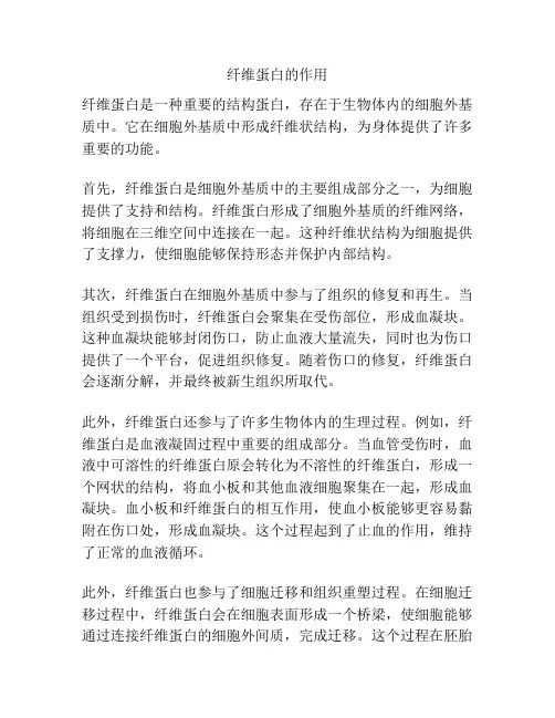 纤维蛋白的作用