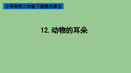二年级下册科学第四单元第12课动物的耳朵教学课件PPT