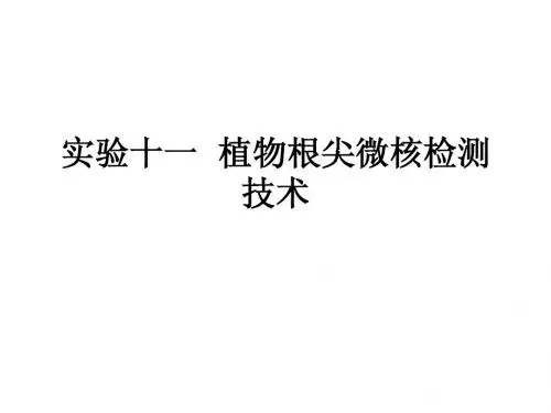 植物根尖微核检测技术