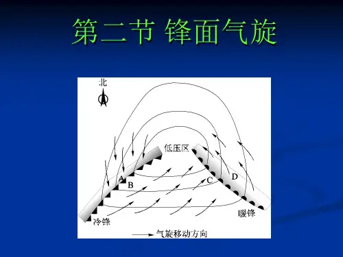 第二节 锋面气旋