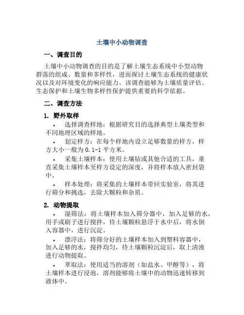 土壤中小动物调查