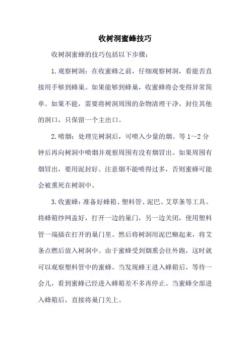 收树洞蜜蜂技巧