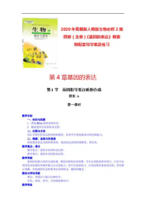 2020年春最新人教版生物必修2第四章《基因的表达》(全章)教案 附练习