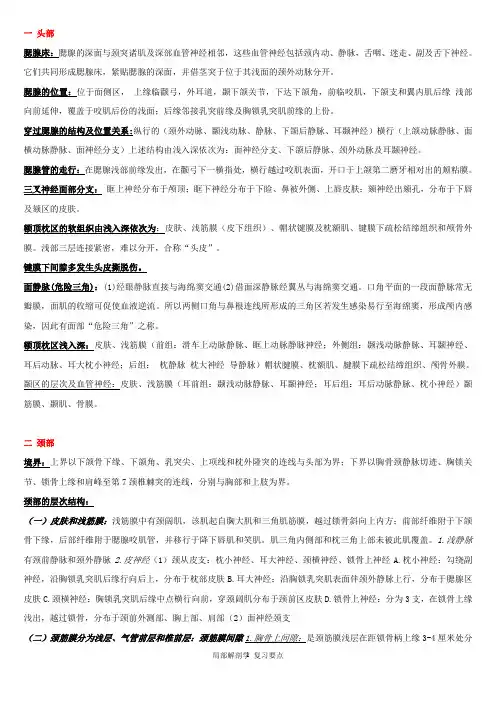 局部解剖学期末考试重点