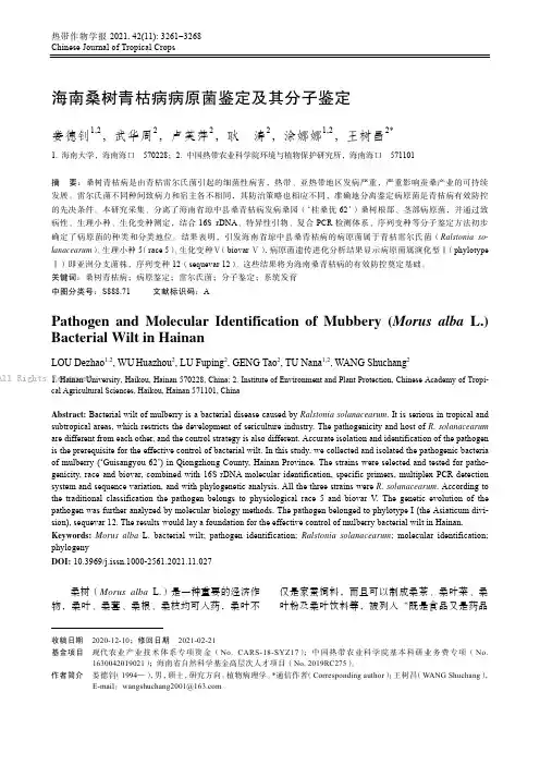 海南桑树青枯病病原菌鉴定及其分子鉴定