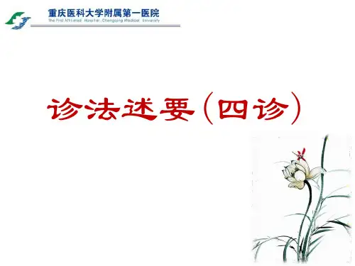 诊法述要(四诊)