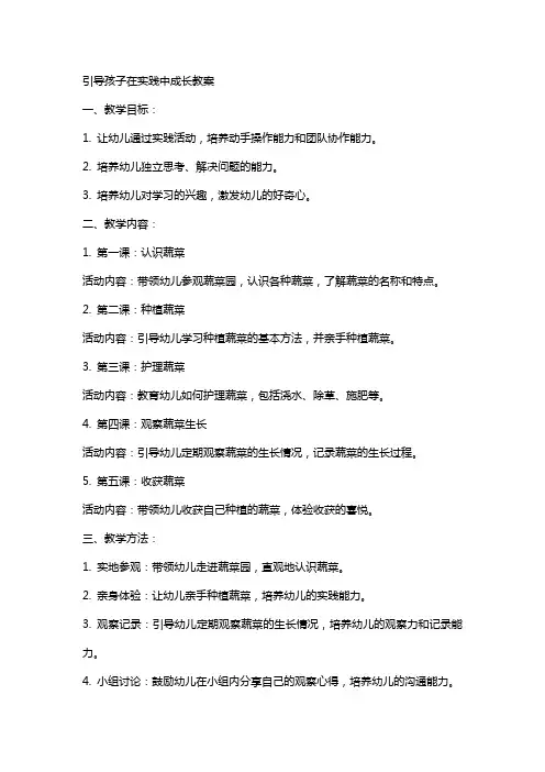 引导孩子在实践中成长教案