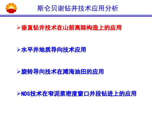 斯仑贝谢钻井技术应用分析