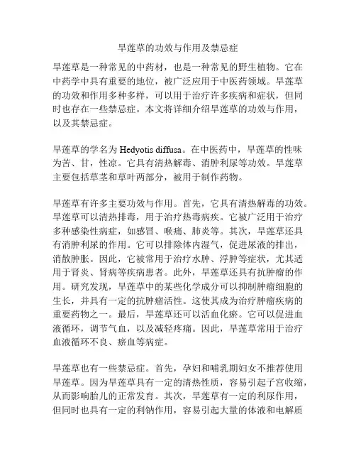 旱莲草的功效与作用及禁忌症