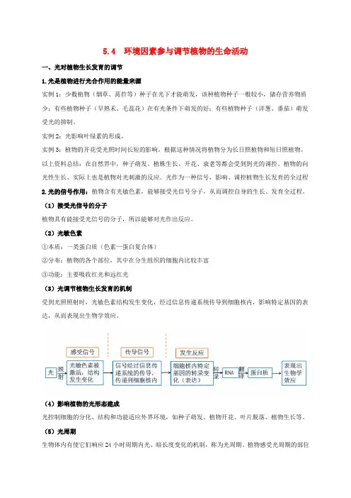 高中生物5.4环境因素参与调节植物的生命活动知识梳理新人教版选择性必修1