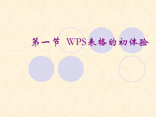 第一节  认识WPS表格ppt课件