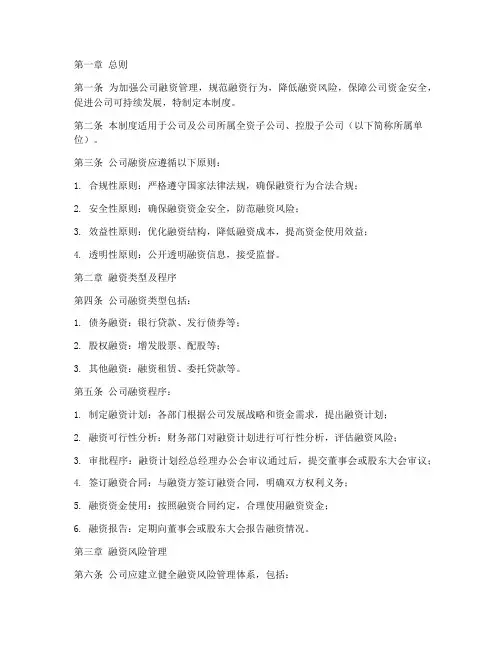 公司融资管理制度范本