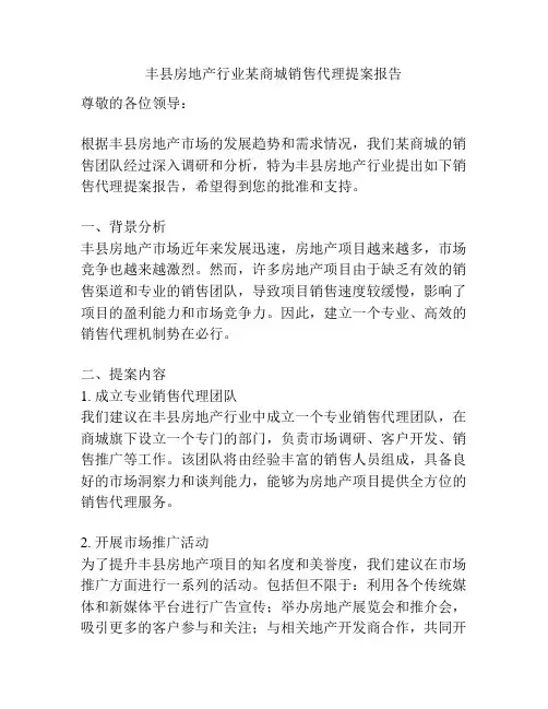 丰县房地产行业某商城销售代理提案报告