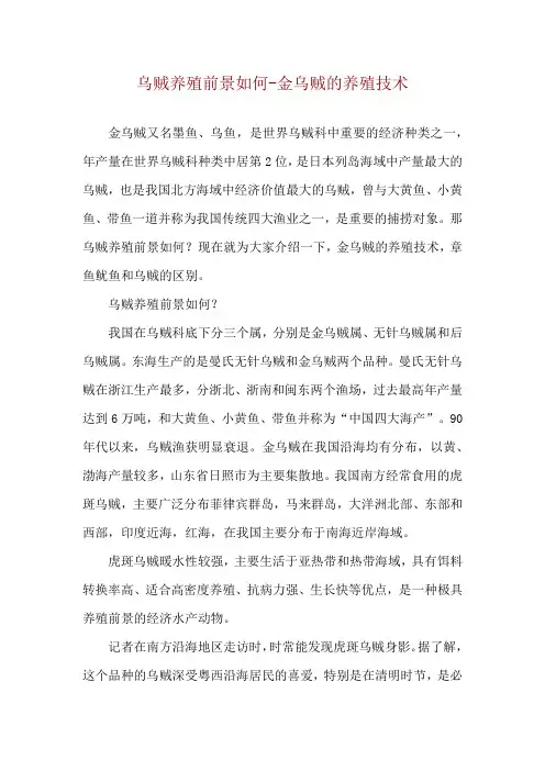 乌贼养殖前景如何金乌贼的养殖技术