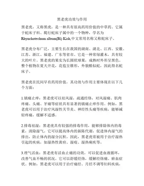 黑老虎功效与作用