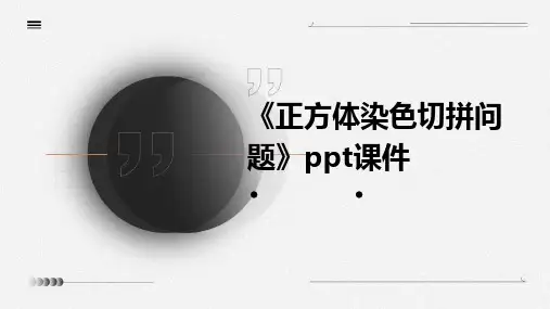 《正方体染色切拼问题》课件
