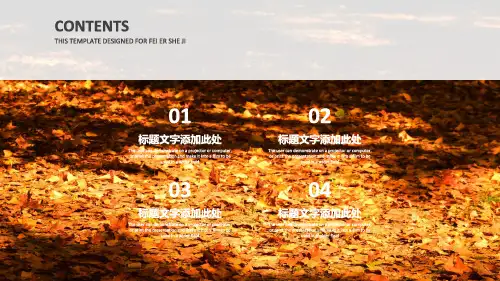 文艺简约工作述职报告总结计划PPT模板