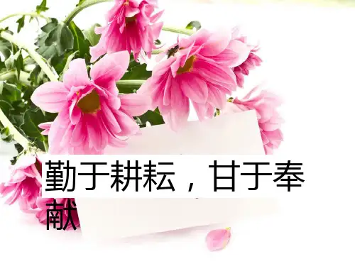 最美乡村教师师德故事ppt课件