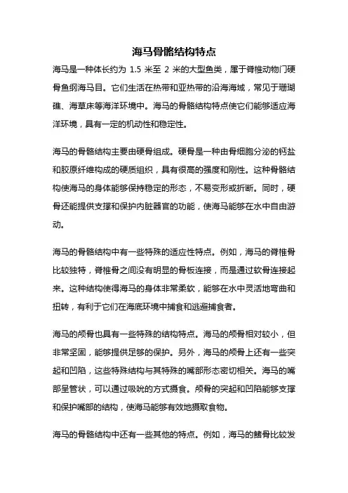 海马骨骼结构特点